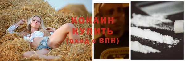стаф Каменск-Шахтинский