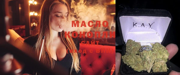 молекула духа Каменка