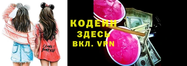 стаф Каменск-Шахтинский