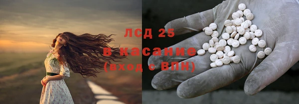 стаф Каменск-Шахтинский