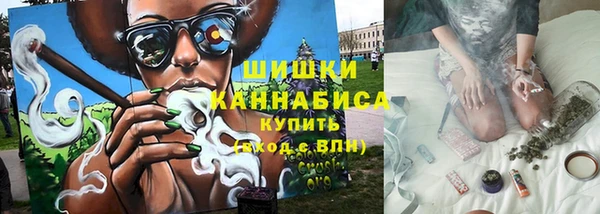 молекула духа Каменка