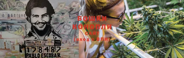 стаф Каменск-Шахтинский