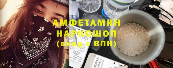 молекула духа Каменка