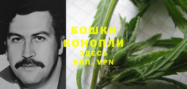молекула духа Каменка