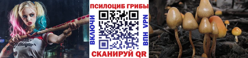 Галлюциногенные грибы Psilocybine cubensis  Купить закладки  Нижний Ломов 